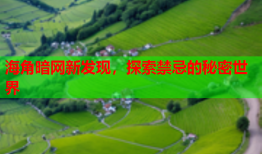 海角暗网新发现，探索禁忌的秘密世界