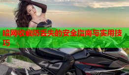 暗网收藏防丢失的安全指南与实用技巧