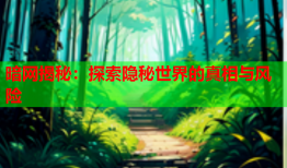 暗网揭秘：探索隐秘世界的真相与风险