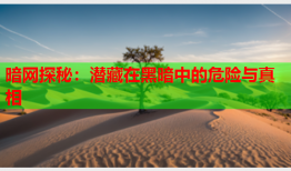 暗网探秘：潜藏在黑暗中的危险与真相