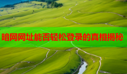 暗网网址能否轻松登录的真相揭秘