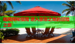 暗网探秘指南 进入禁忌之地的冒险之旅