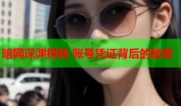 暗网深渊探秘 账号凭证背后的秘密