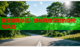 探索暗网禁区：揭秘网络深处的隐秘与风险