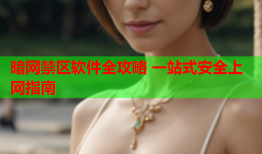 暗网禁区软件全攻略 一站式安全上网指南