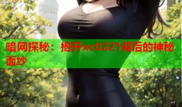 暗网探秘：揭开xc0221背后的神秘面纱