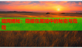 暗网揭秘：隐藏在黑暗中的秘密与危险