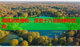 暗网禁地揭秘：探索十八禁的神秘世界