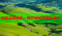 暗网深渊探索：揭开隐秘世界的面纱