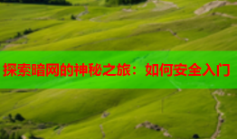 探索暗网的神秘之旅：如何安全入门