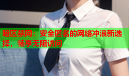 暗区禁网：安全匿名的网络冲浪新选择，畅享无阻访问