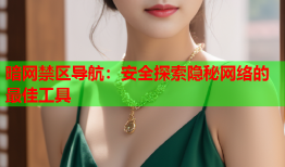 暗网禁区导航：安全探索隐秘网络的最佳工具
