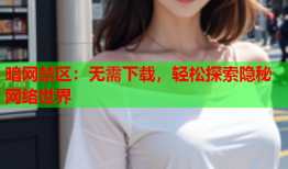 暗网禁区：无需下载，轻松探索隐秘网络世界