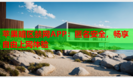 苹果暗区禁网APP：匿名安全，畅享自由上网体验