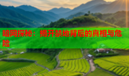 暗网探秘：揭开禁地背后的真相与危险