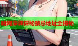 暗网深渊探秘禁忌地址全揭秘