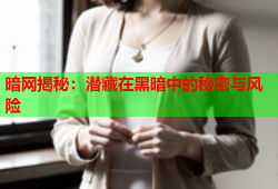 暗网揭秘：潜藏在黑暗中的秘密与风险