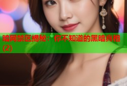 暗网禁区揭秘：你不知道的黑暗真相(2)