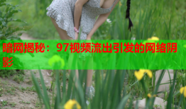 暗网揭秘：97视频流出引发的网络阴影