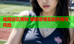 暗网禁区揭秘 破解版背后的真相与风险