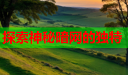 探索神秘暗网的独特