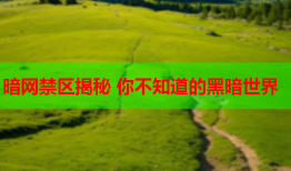 暗网禁区揭秘 你不知道的黑暗世界