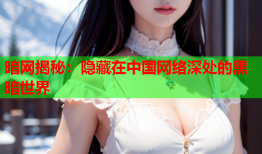暗网揭秘：隐藏在中国网络深处的黑暗世界