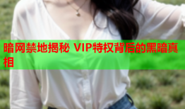 暗网禁地揭秘 VIP特权背后的黑暗真相