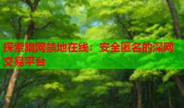 探索暗网禁地在线：安全匿名的深网交易平台