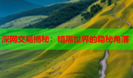 深网交易揭秘：暗黑世界的隐秘角落