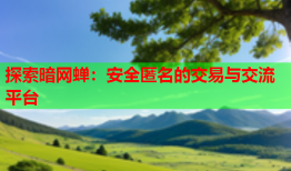 探索暗网蝉：安全匿名的交易与交流平台