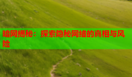 暗网揭秘：探索隐秘网络的真相与风险
