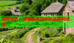 暗网禁区：潜藏在黑暗中的互联网迷宫