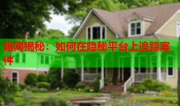 暗网揭秘：如何在隐秘平台上追踪案件