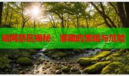暗网禁区揭秘：潜藏的黑暗与危险
