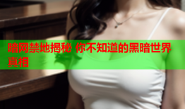 暗网禁地揭秘 你不知道的黑暗世界真相