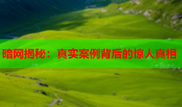 暗网揭秘：真实案例背后的惊人真相