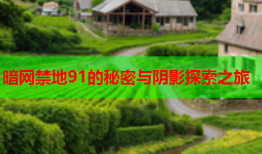 暗网禁地91的秘密与阴影探索之旅