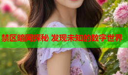 禁区暗网探秘 发现未知的数字世界