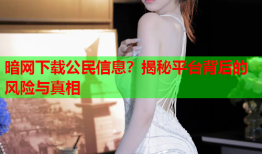 暗网下载公民信息？揭秘平台背后的风险与真相