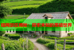 暗网禁区揭秘：探索未知的黑暗世界