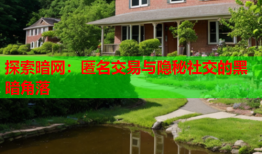 探索暗网：匿名交易与隐秘社交的黑暗角落