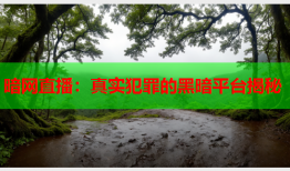 暗网直播：真实犯罪的黑暗平台揭秘
