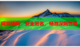 网禁暗网：安全匿名，畅游深网世界