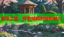 禁忌之地：探索暗网的隐秘魅力