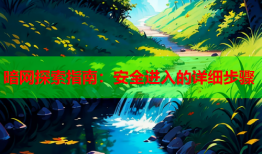 暗网探索指南：安全进入的详细步骤