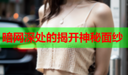 暗网深处的揭开神秘面纱