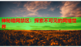 神秘暗网禁区：探索不可见的网络世界