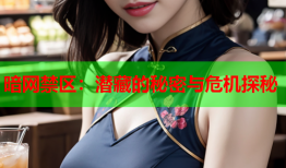 暗网禁区：潜藏的秘密与危机探秘