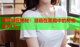 暗网禁区揭秘：潜藏在黑暗中的秘密世界(3)